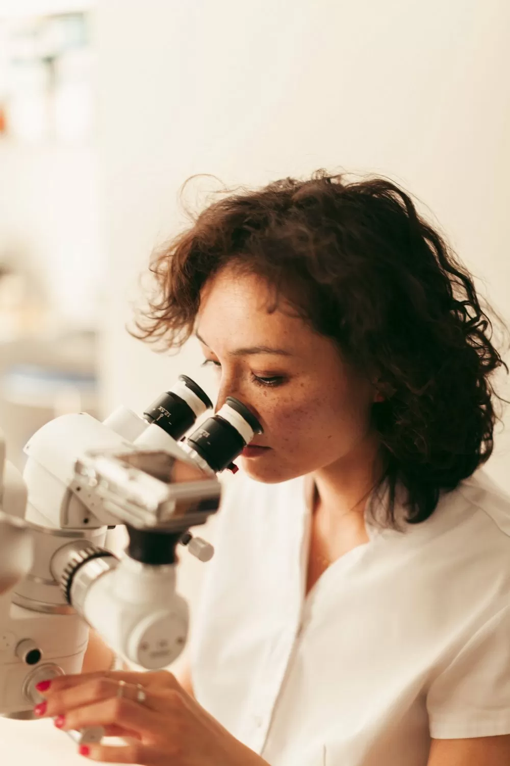 БельтаНова