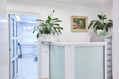 Стоматология MiaDent