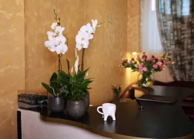 Стоматологическая клиника доктора Алексеевой