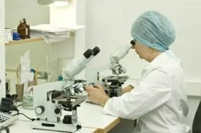 Новая поликлиника