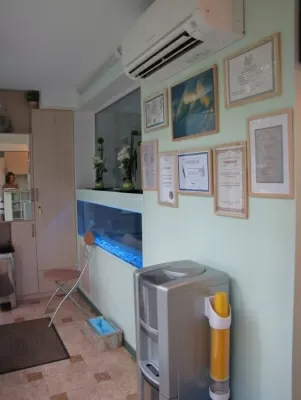 Доктор Прохоренков