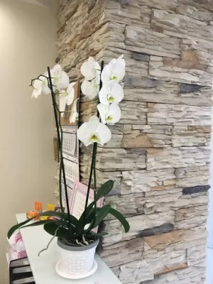 Пломба & Коронка