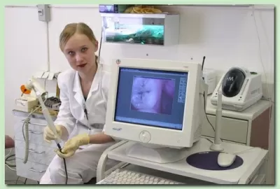 Протект-Люкс