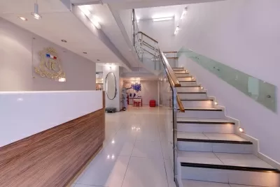 Французский стандарт