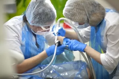 Здоровая улыбка