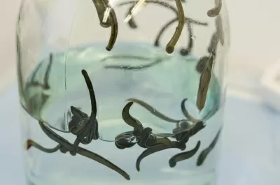 Медицинский центр А.Г. Гриценко