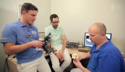 Новель-Дент