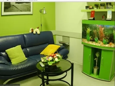 Дентал Фокс