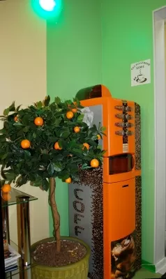 Практика доктора Загорского