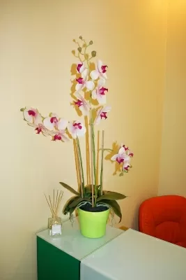 Практика доктора Загорского