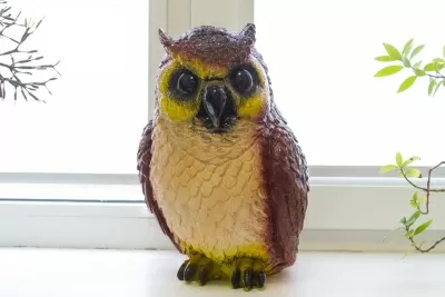 Медицинская клиника Сова