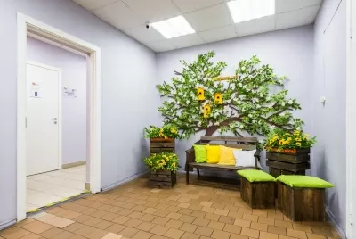 Панорама Мед