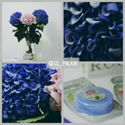 Стоматологический центр Палкинъ