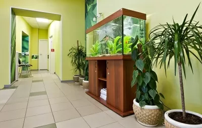 Медицинский центр XXI век