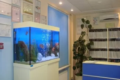 Стоматология Медиал