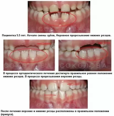 Ассоциация стоматологов