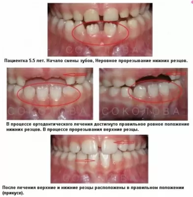Ассоциация стоматологов
