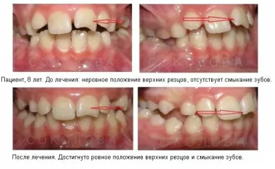 Ассоциация стоматологов