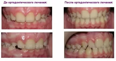 Ассоциация стоматологов