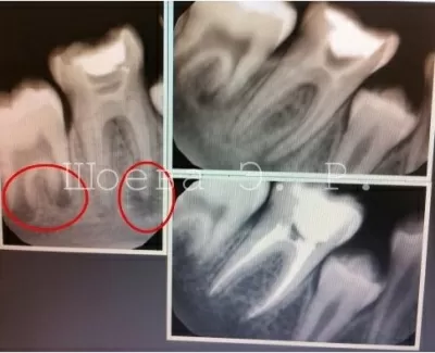 Ассоциация стоматологов