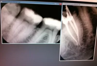 Ассоциация стоматологов