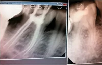 Ассоциация стоматологов