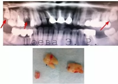 Ассоциация стоматологов