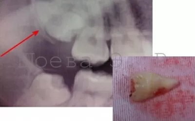 Ассоциация стоматологов