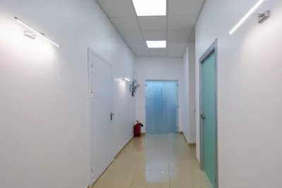 Династия СТ