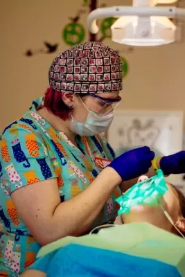 Династия СТ