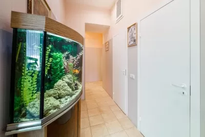 Альфа-стом Плюс