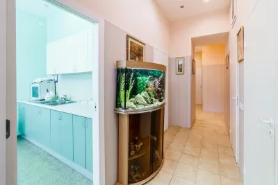 Альфа-стом Плюс