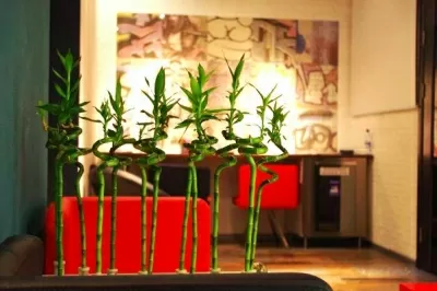 Седьмое Небо