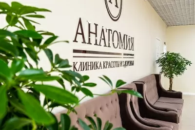 Анатомия
