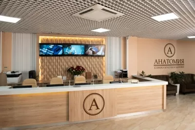 Анатомия