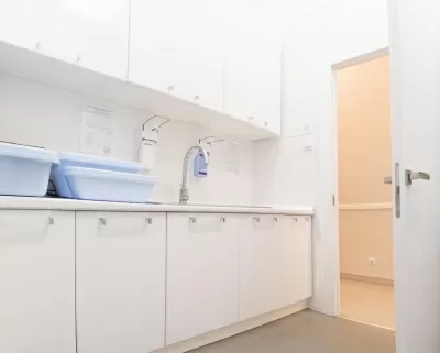 Центр стоматологии Органик Нева