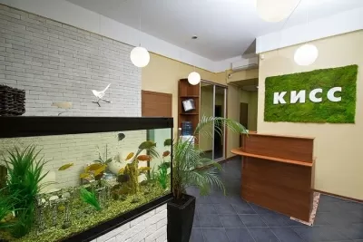 Центр протезирования зубов КИСС