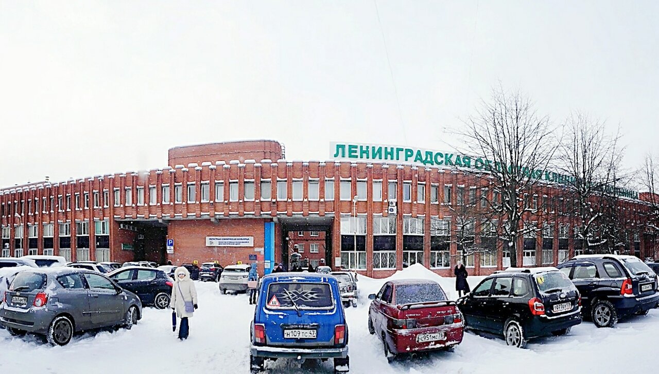 Сайт ленинградской областной клинической больницы