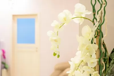 Дентал Клиник