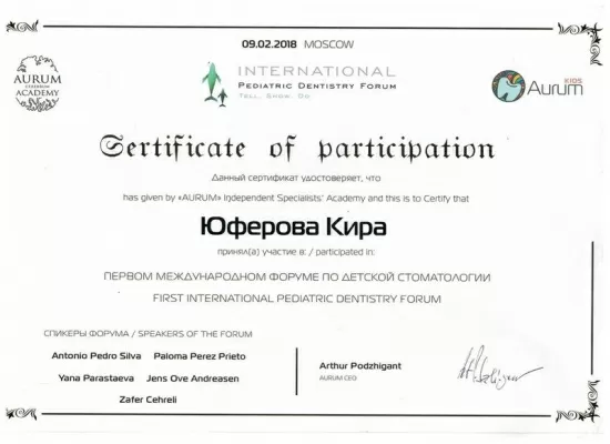 Династия СТ