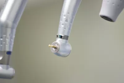 Арктик Дент