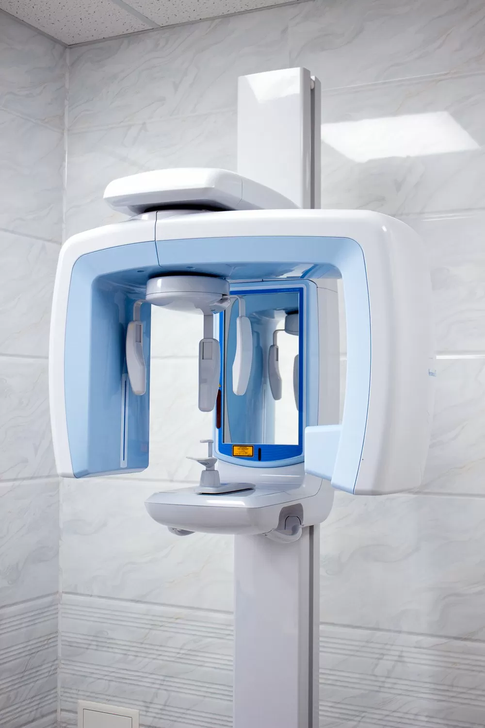 Арктик Дент