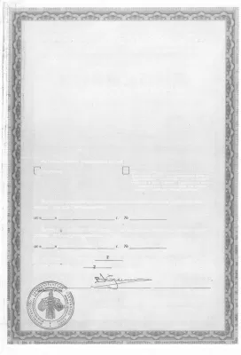 Добрый доктор