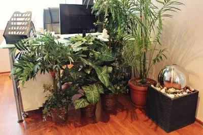 Стоматология Надежда