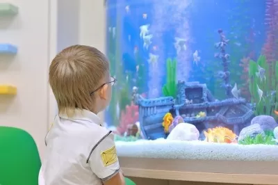 Тонус Кроха