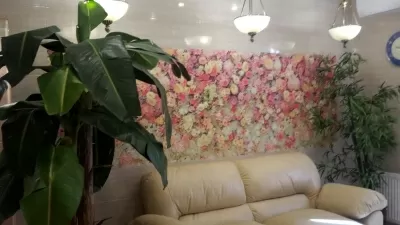 Клиника Ника Спринг