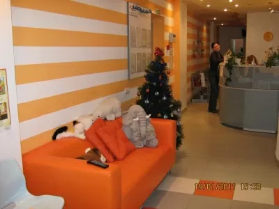 Стоматология Аквилио