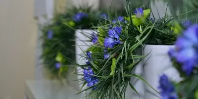 Леге Артисс