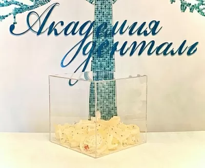 Академия-денталь