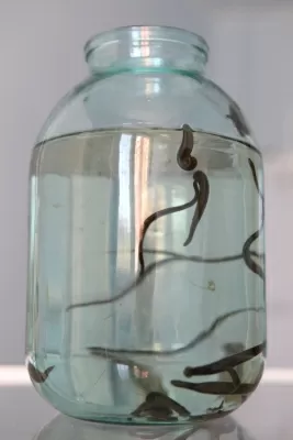 Благое дело